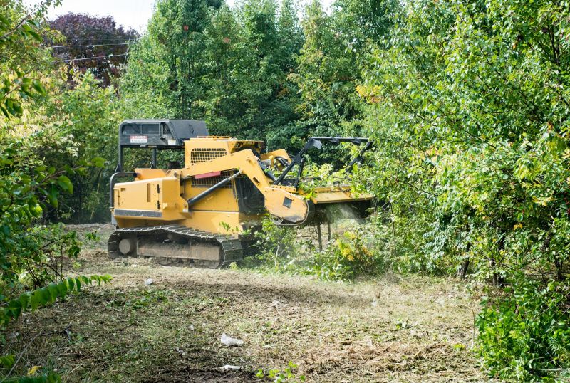 Brush and Tree Removal Equipment