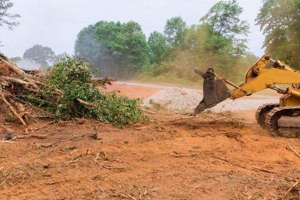 Ground Clearing in Columbus