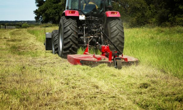 Brush Clearing Service in Columbus