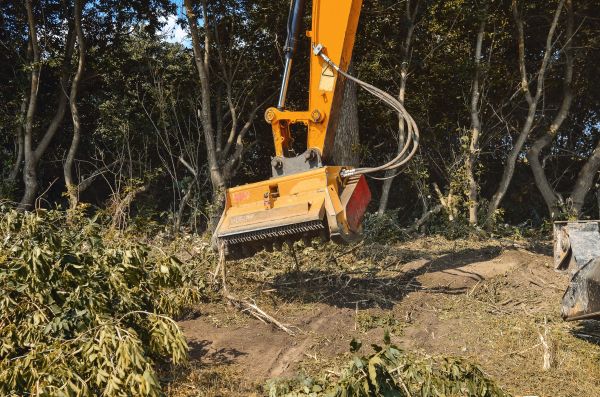 Brush Removal Service in Columbus