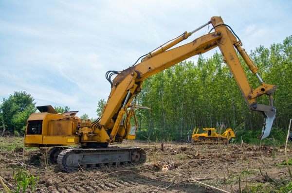 Farm Clearing in Columbus