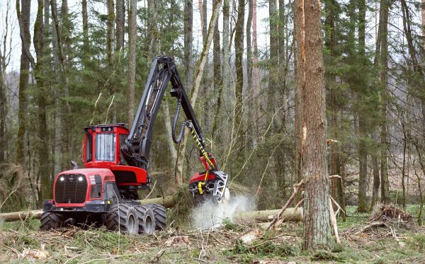 Forest Clearance Service in Columbus