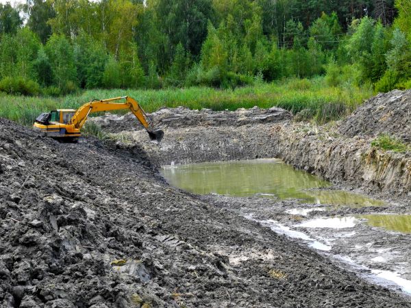Lake Lot Clearing in Columbus