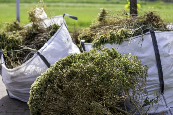 Bushes Clearing in Columbus