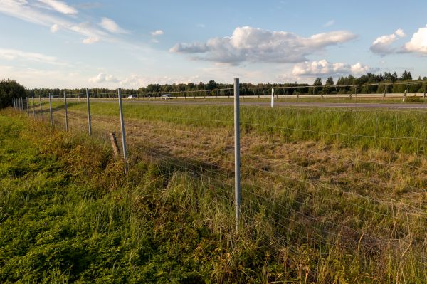 Property Line Clearing in Columbus