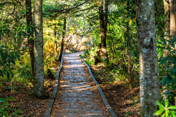 Trail Clearing in Columbus