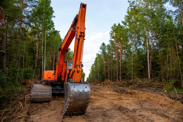 Backhoe Land Clearing in Columbus
