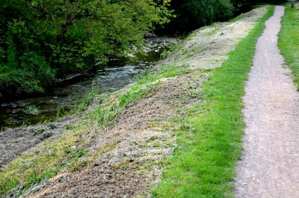Trail Cutting in Columbus
